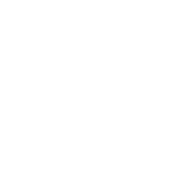 Security Alarm